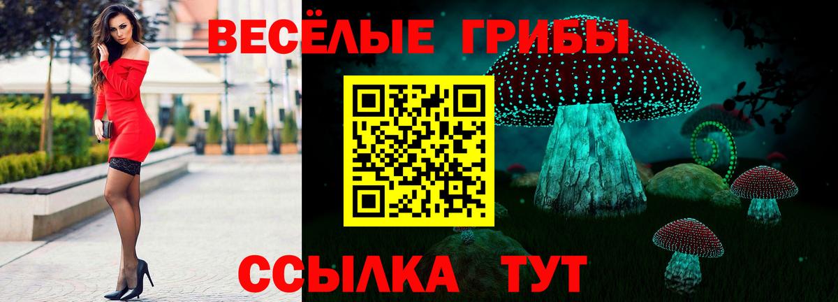Псилоцибиновые грибы Magic Shrooms  Галлюциногенные грибы Psilocybe  Вход с VPN  Ирбит 